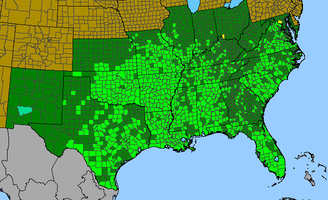 The range of Celtis laevigata
